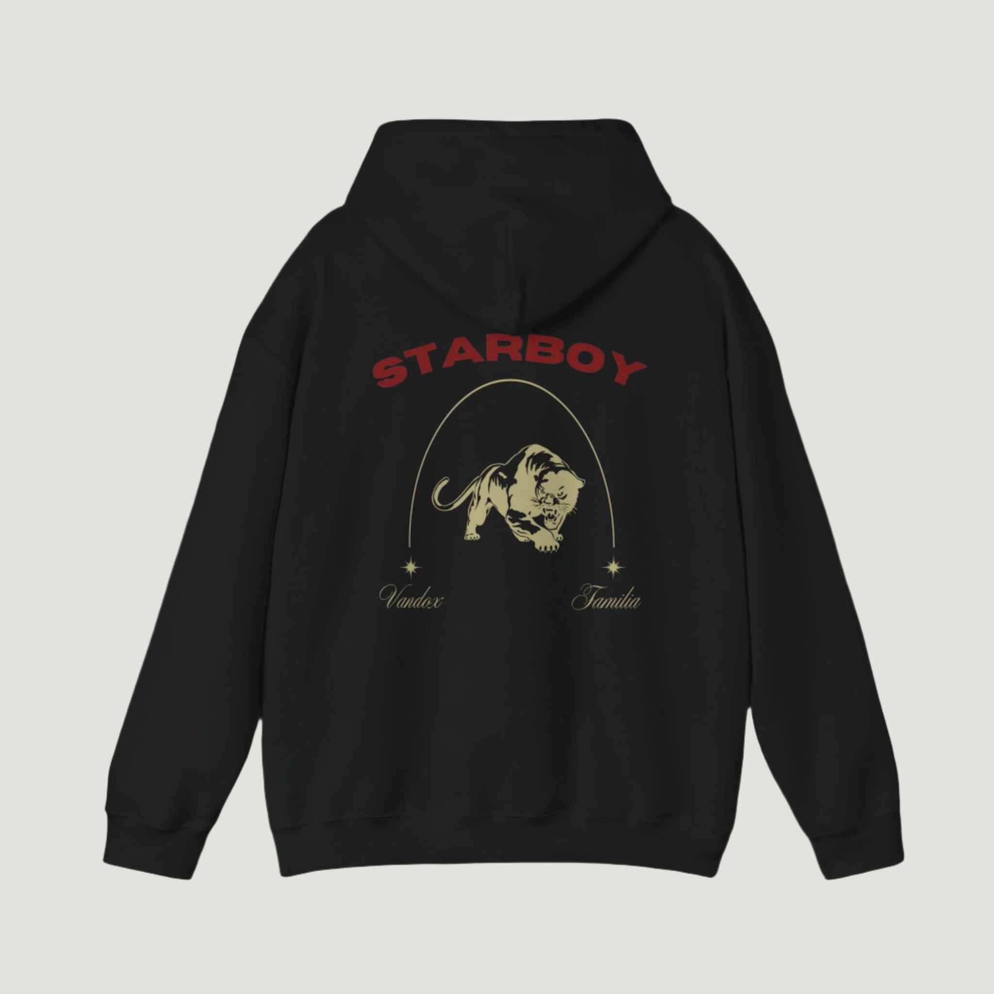 buddix Logo Anorak XLサイズ FANTASTICS buddix パーカー